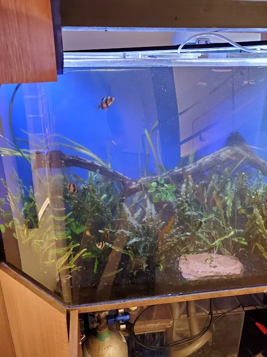 Tanks for your Business Picture 3