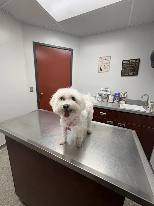 Country Animal Clinic Inc. Picture 10