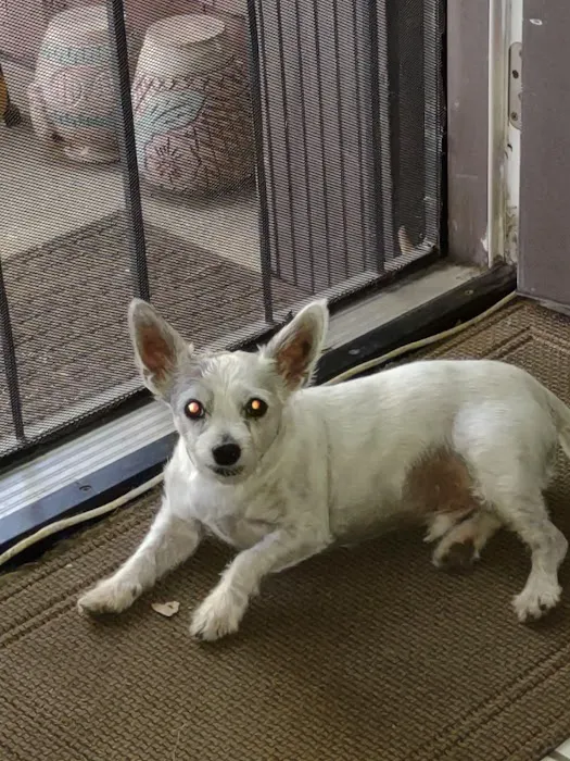 Euclid-Walnut Pet Clinic Picture 8