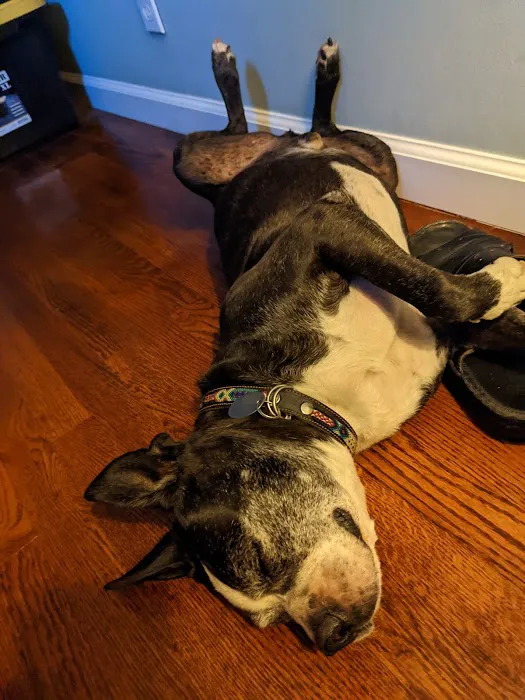 Euclid-Walnut Pet Clinic Picture 6