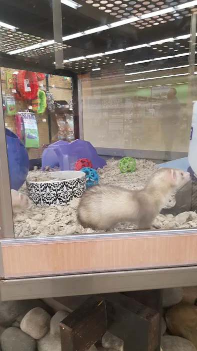 Petco Picture 3