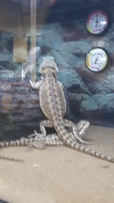 Petco Picture 7