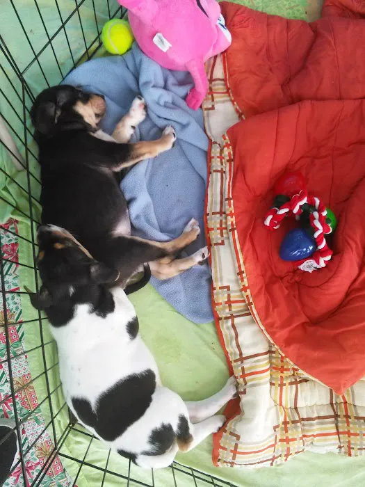 Petco Picture 1