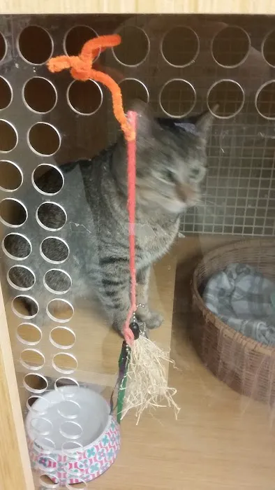 Petco Picture 5