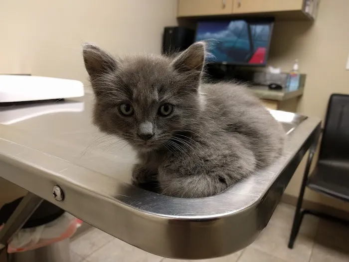 Ontario Veterinary Hospital Picture 2