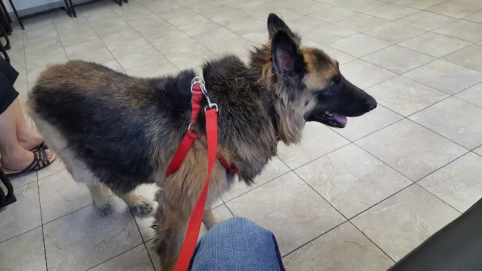 Ontario Veterinary Hospital Picture 5