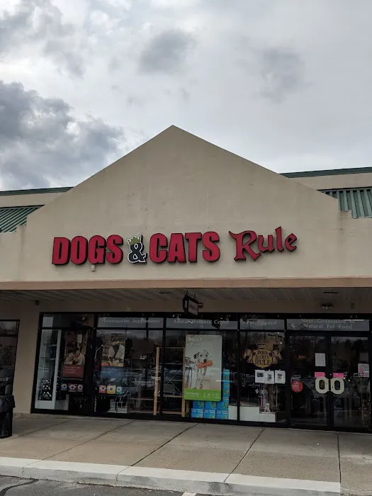 Dogs & Cats Rule Picture 7