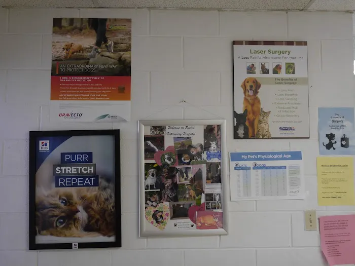 Euclid Veterinary Hospital Picture 7
