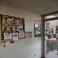 Euclid Veterinary Hospital ico
