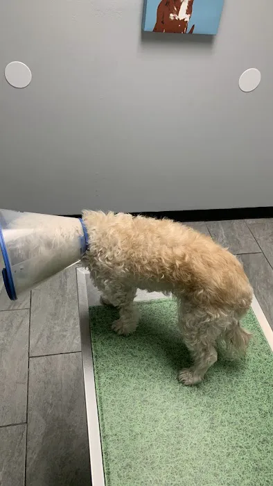 Euclid Veterinary Hospital Picture 5