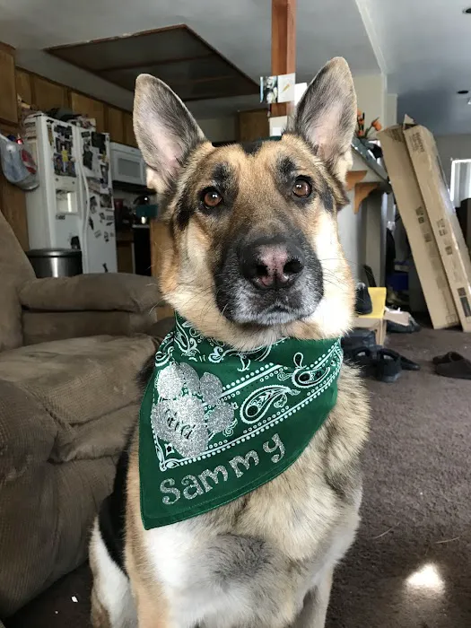 Euclid Veterinary Hospital Picture 4