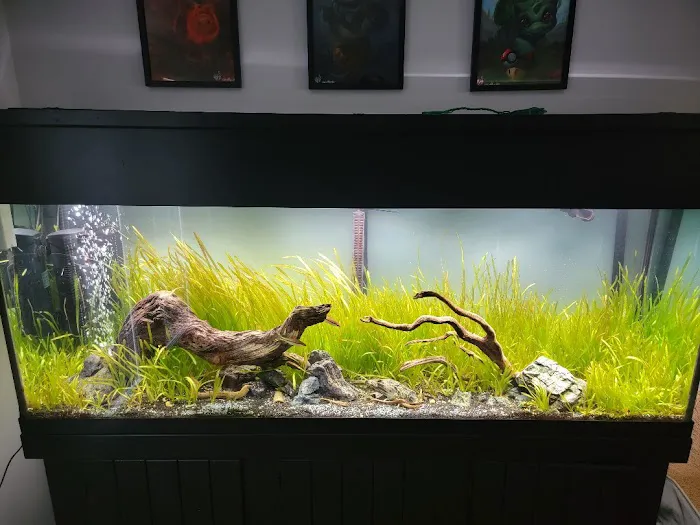 FantaSEA Aquariums | Aquarium Design, Installation, and Service Picture 9