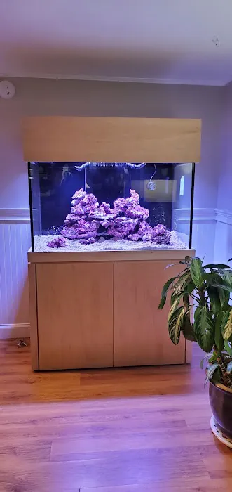 FantaSEA Aquariums | Aquarium Design, Installation, and Service Picture 1