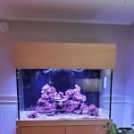 FantaSEA Aquariums | Aquarium Design, Installation, and Service
