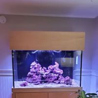 FantaSEA Aquariums | Aquarium Design, Installation, and Service ico