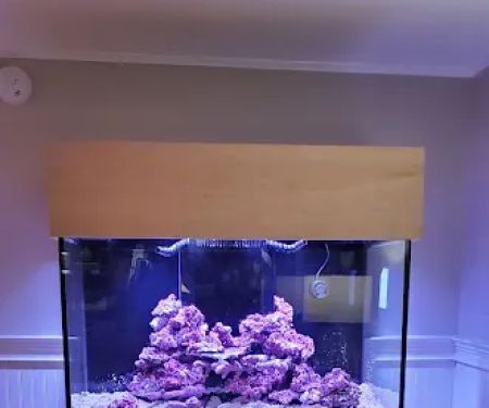 FantaSEA Aquariums | Aquarium Design, Installation, and Service