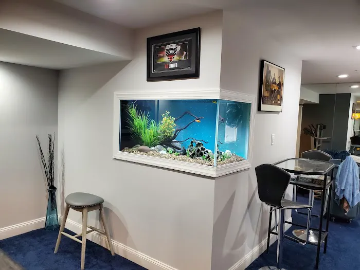 FantaSEA Aquariums | Aquarium Design, Installation, and Service Picture 3