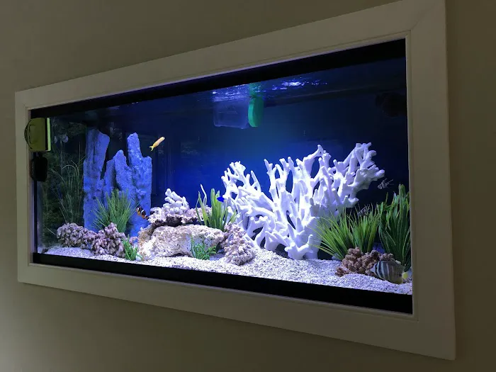 FantaSEA Aquariums | Aquarium Design, Installation, and Service Picture 4