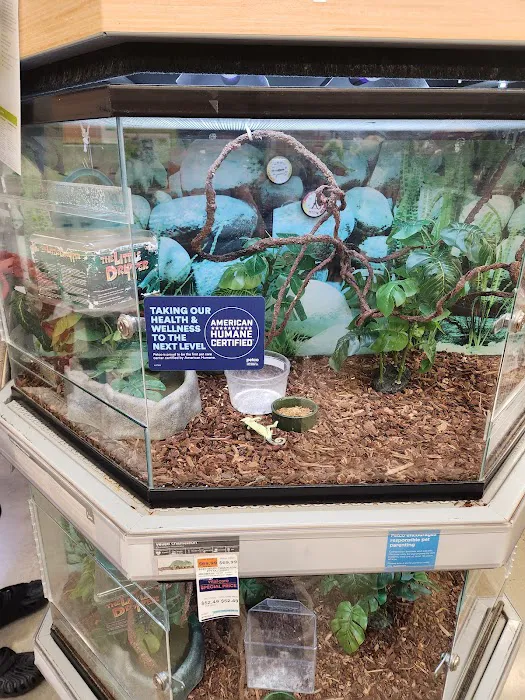 Petco Picture 6
