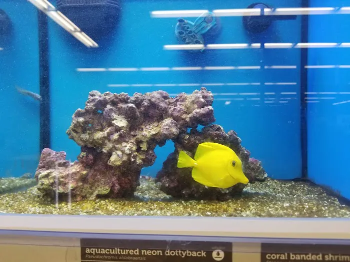 Petco Picture 2