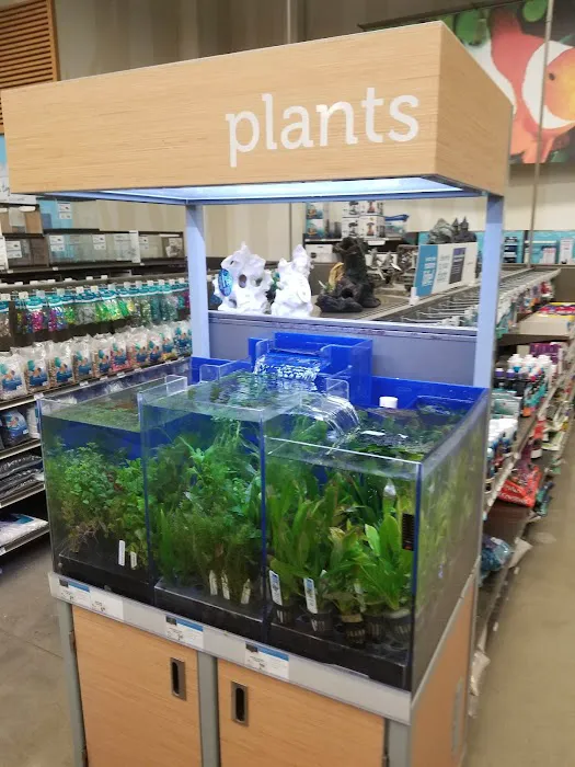 Petco Picture 1