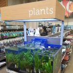 Petco