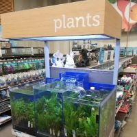 Petco ico