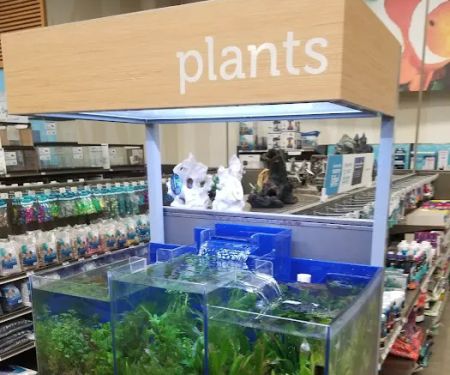 Petco