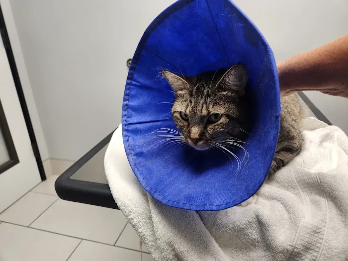 Inland Valley Veterinary Specialists & Emergency Center Picture 4