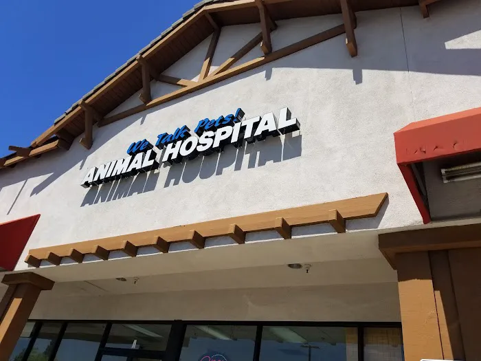 We Talk Pets! Animal Hospital Picture 1