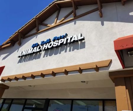 We Talk Pets! Animal Hospital