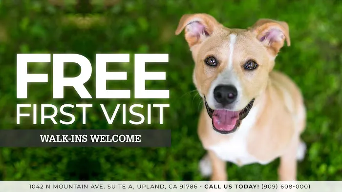 We Talk Pets! Animal Hospital Picture 4