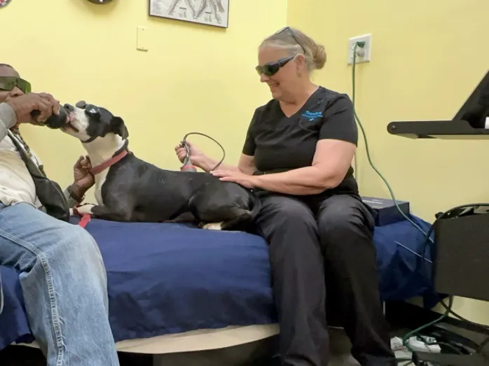 Therapaws Picture 1