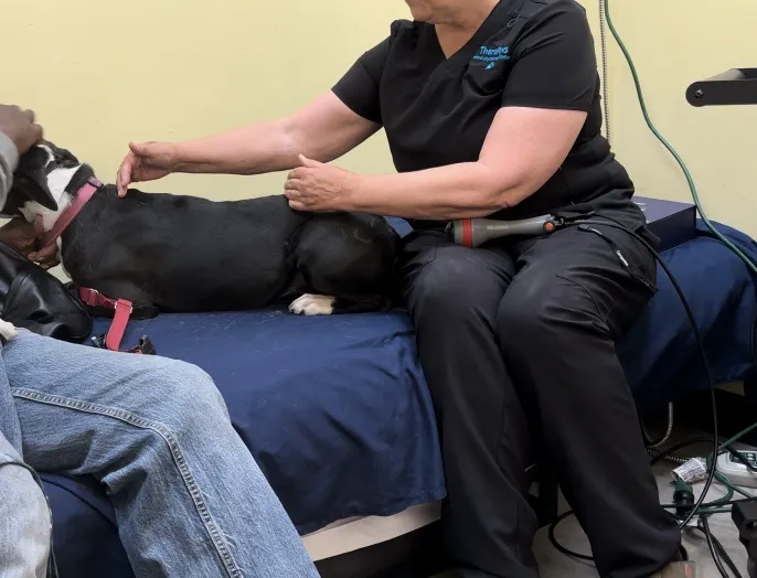 Therapaws Picture 2