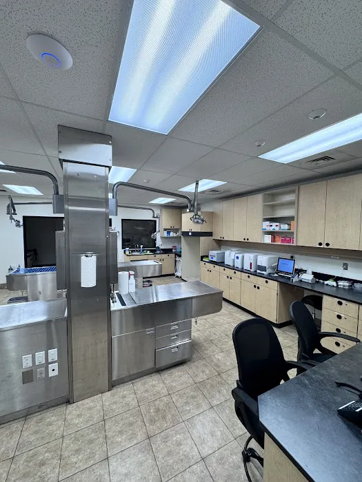 Pet Care Center Picture 6