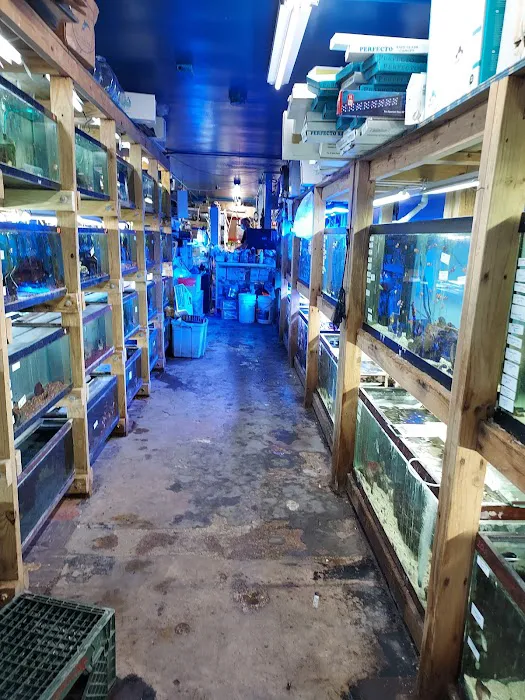 Tropical Lagoon Aquarium Picture 1