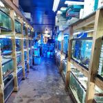 Tropical Lagoon Aquarium