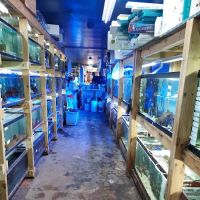 Tropical Lagoon Aquarium ico