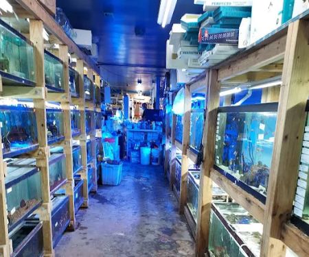 Tropical Lagoon Aquarium