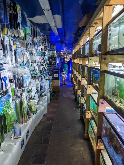 Tropical Lagoon Aquarium Picture 7