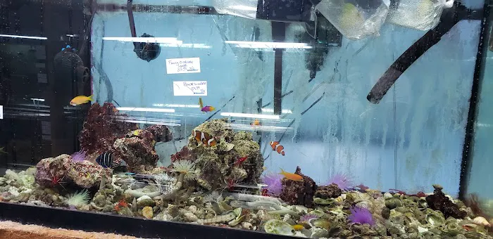 Tropical Lagoon Aquarium Picture 3