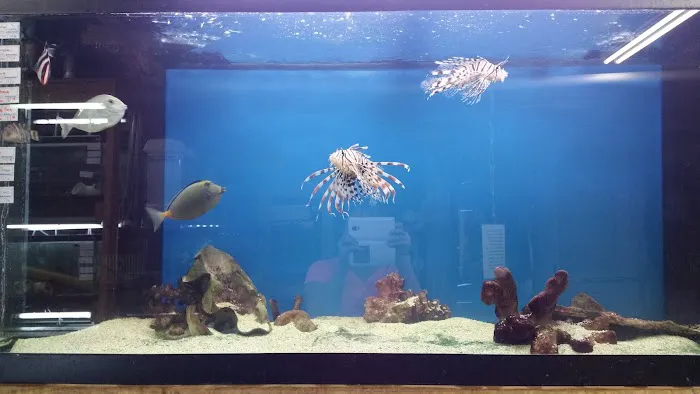 Tropical Lagoon Aquarium Picture 5