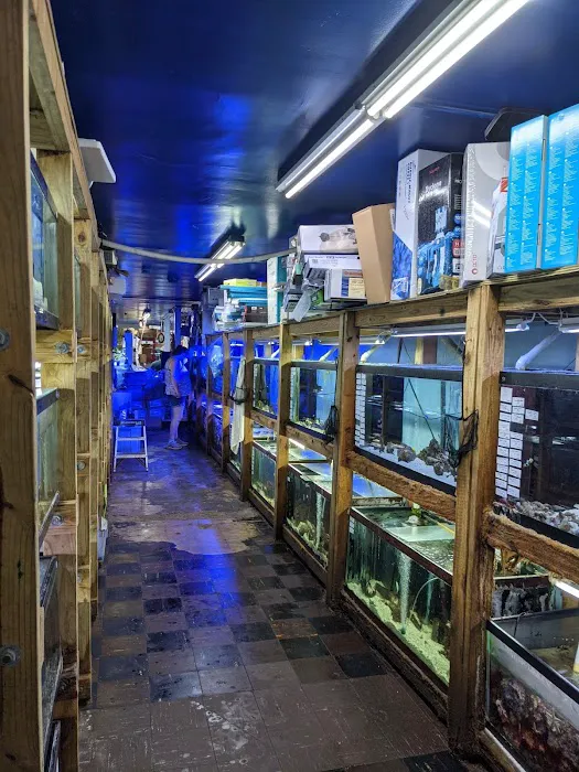 Tropical Lagoon Aquarium Picture 9
