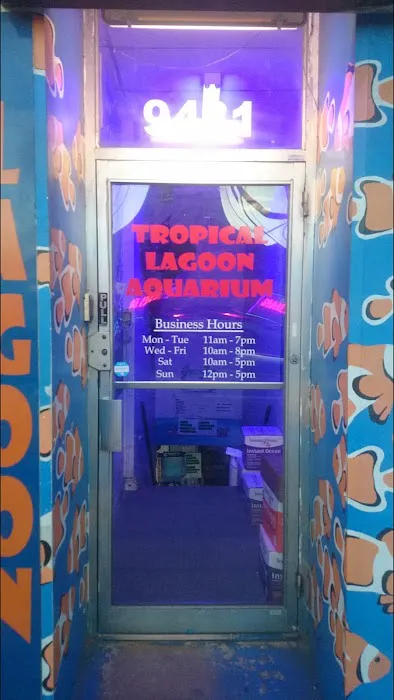 Tropical Lagoon Aquarium Picture 8