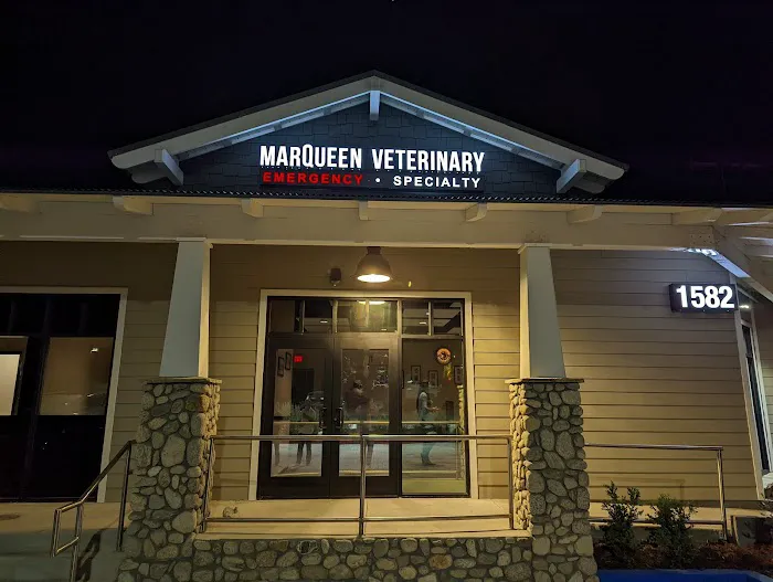MarQueen Pet Emergency & Specialty Picture 9