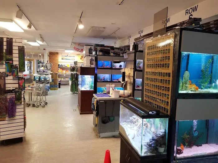 Congressional Aquarium Picture 5