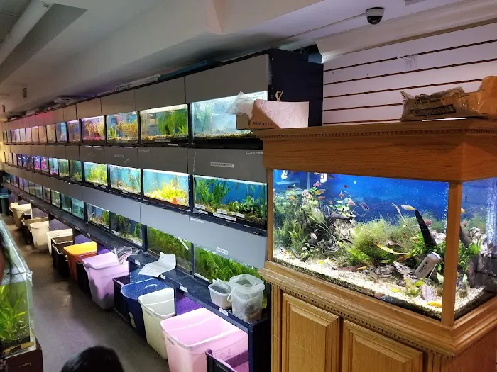 Congressional Aquarium Picture 7