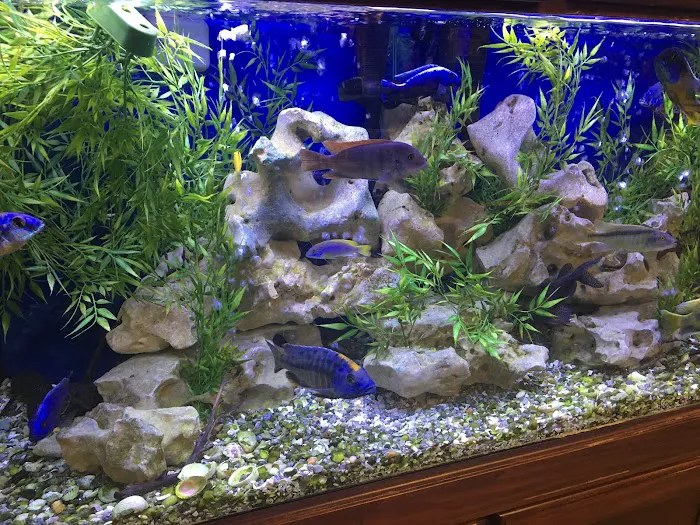 Congressional Aquarium Picture 2