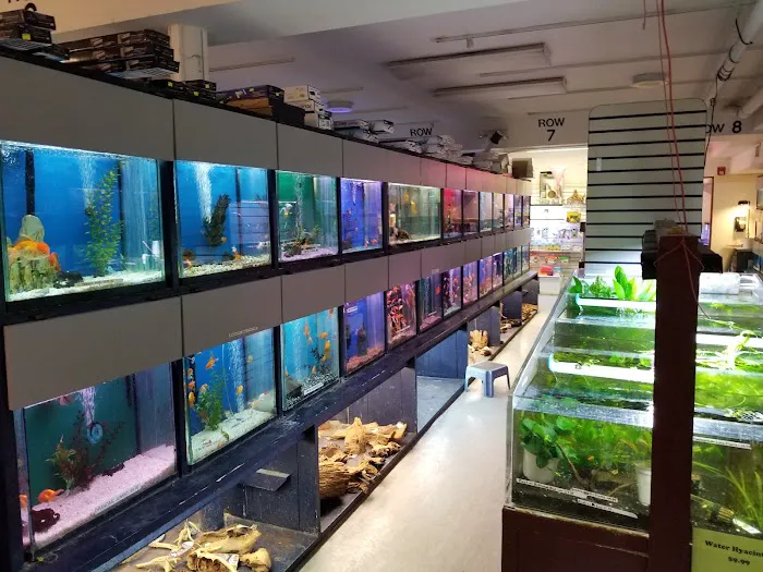 Congressional Aquarium Picture 6