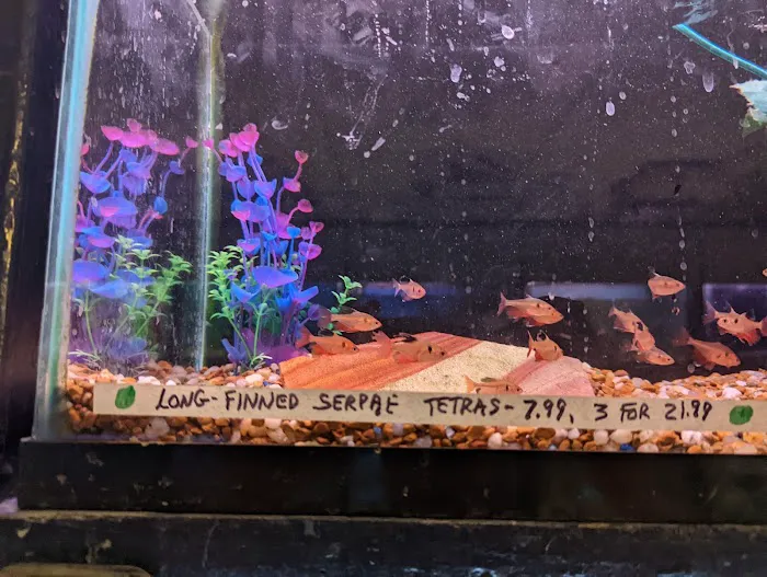Congressional Aquarium Picture 8